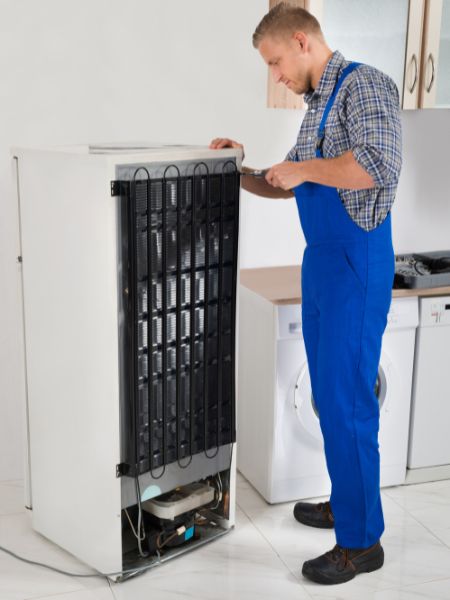 common refrigerator repairs photo